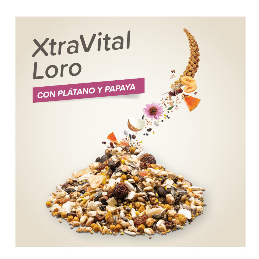 Beaphar XtraVital Comida para loros, , large Imagen numero 3