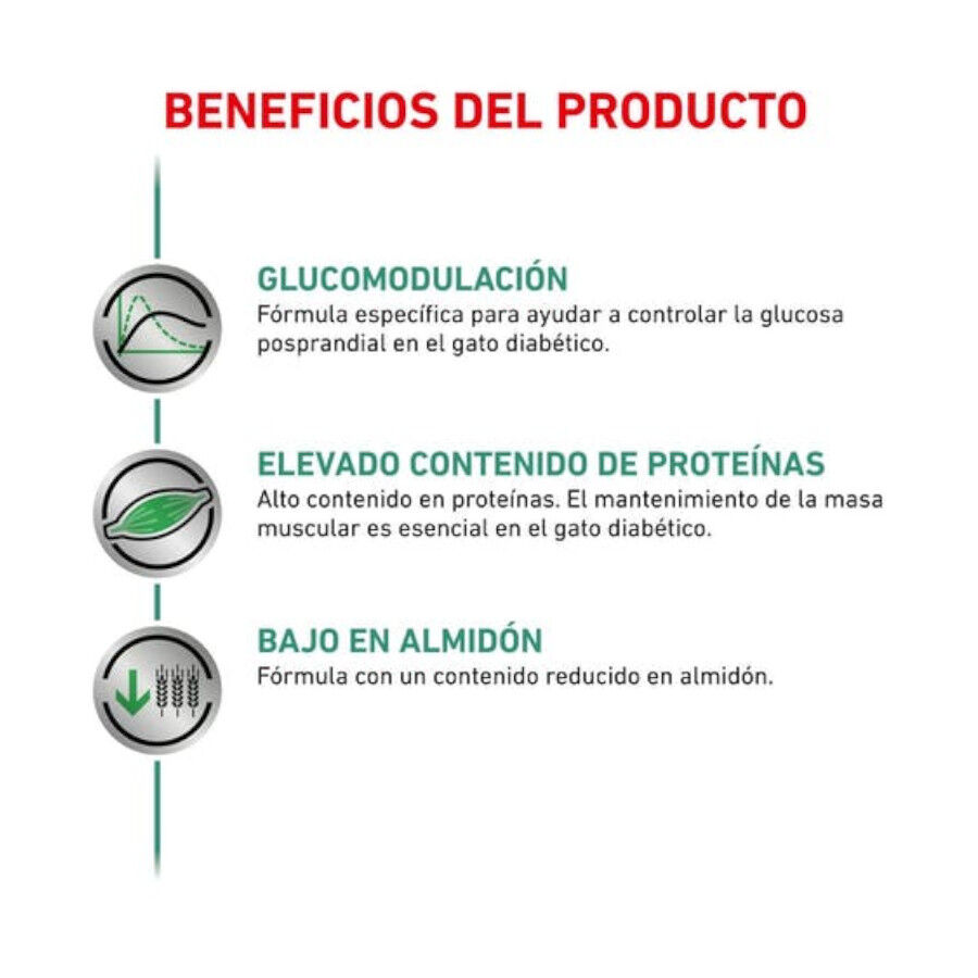 12 sobres x 85 g Royal Canin Veterinary Diet Diabetic sobres para gatos, , large indicador imagen numero 2