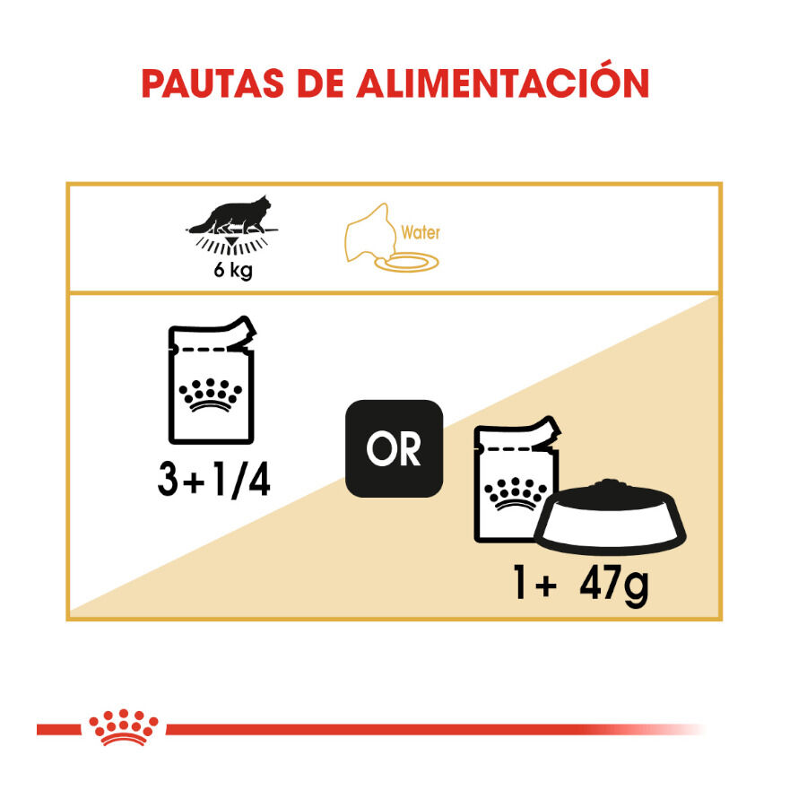 85 g Royal Canin Maine Coon sobres para gatos, , large Imagen numero 7