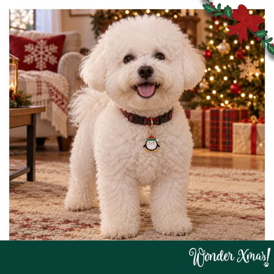Wonder Christmas Colgante Collar Ping&uuml;ino para perros, , large Imagen numero 2