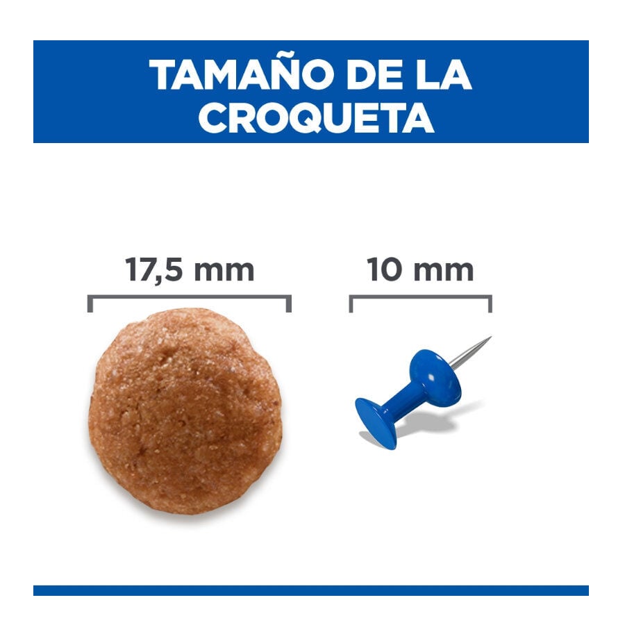 14 kg Hill's Science Plan Perfect Digestion Adult large Pollo pienso para perros, , large indicador imagen numero 4