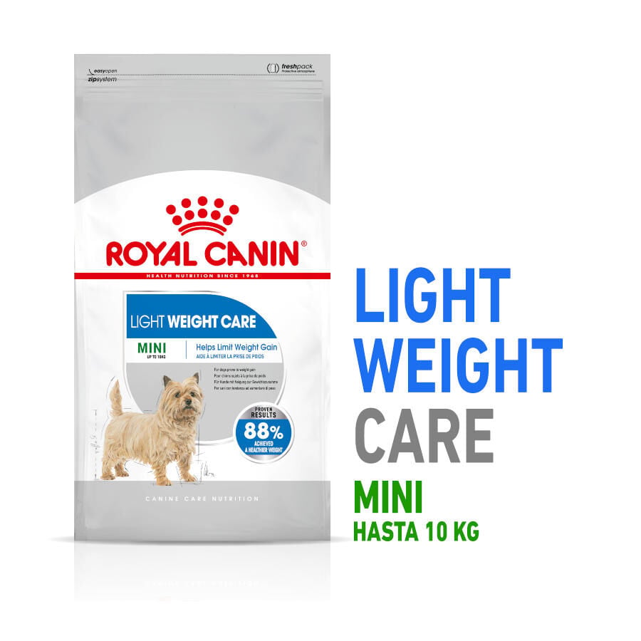 8 kg Royal Canin Mini Light Weight Care pienso para perros, , large Imagen numero 2