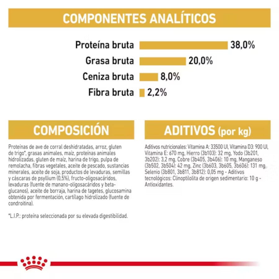 10 kg Royal Canin British Shorthair Kitten pienso para gatos, , large Imagen numero 5