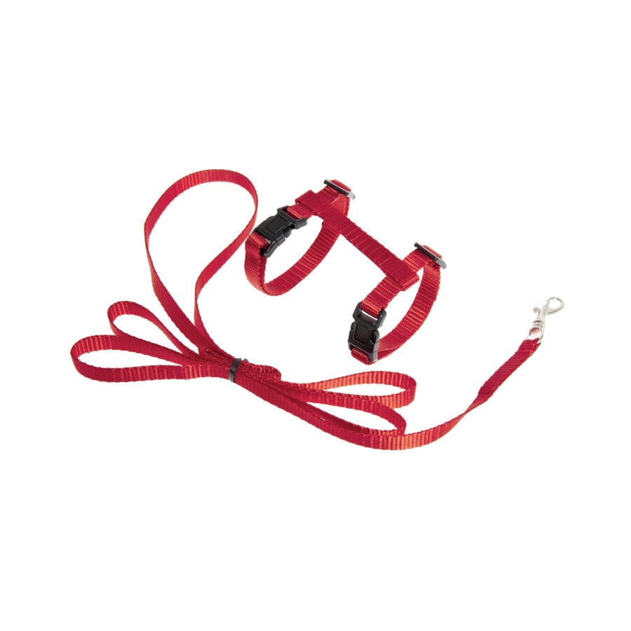 Flamingo Arn&eacute;s con Correa Ziggi Rojo para gatitos, , large indicador imagen numero 1