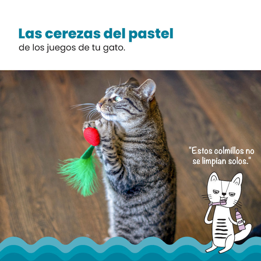 Catstages Dental Cherries Peluche Suave de Cerezas para gatos, , large indicador imagen numero 6