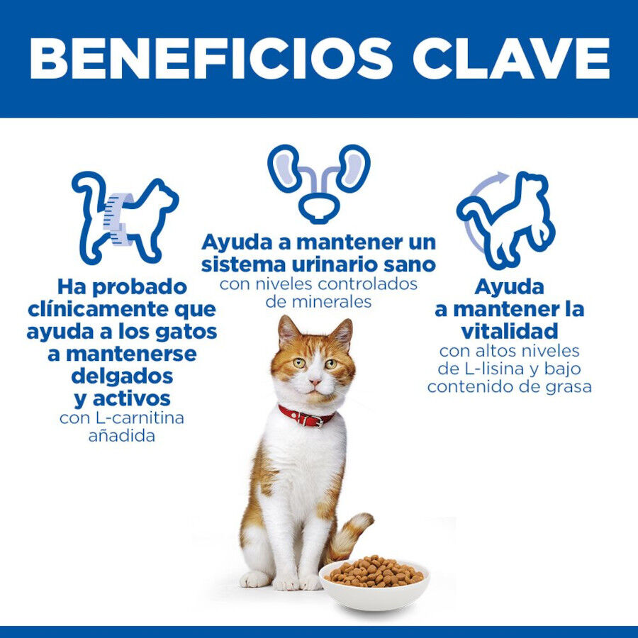 7 kg Hill's Science Plan Sterilised Adult Salm&oacute;n pienso para gatos, , large indicador imagen numero 5