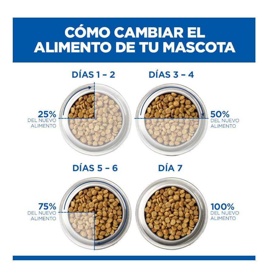 1.5 kg Hill's Science Plan Pienso Salm&oacute;n para gatitos, , large indicador imagen numero 11