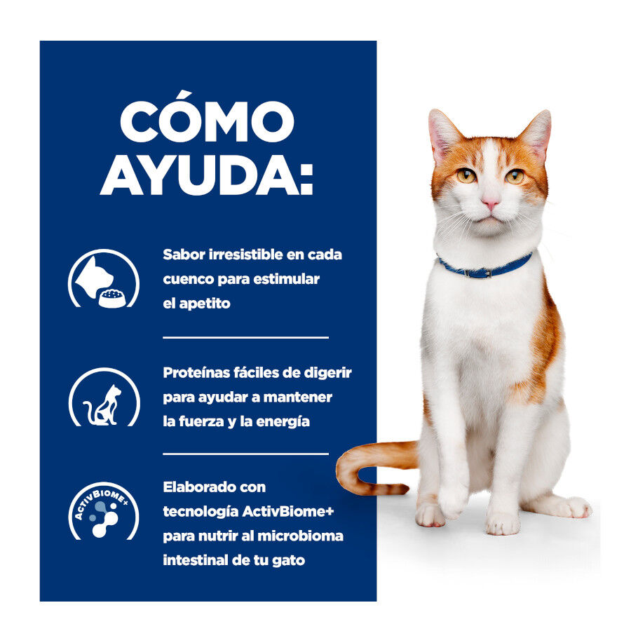 82 g Hill's Prescription Diet Feline Estofado con Pollo y Verduras para Gatos Adultos, , large indicador imagen numero 3