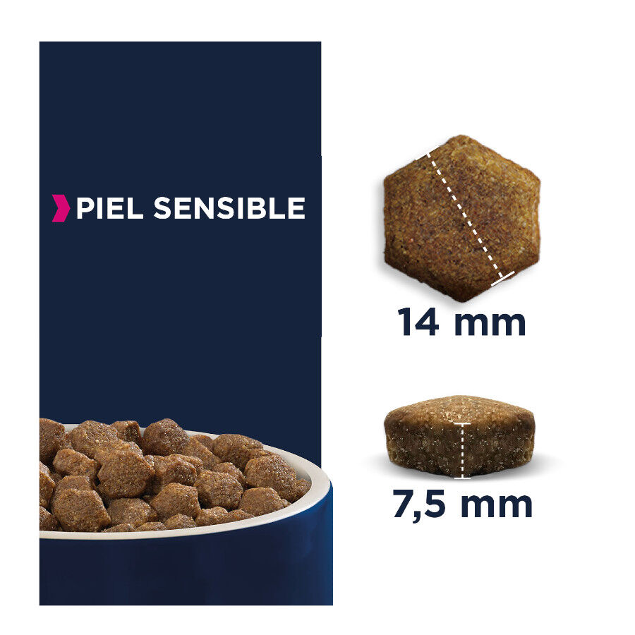 12 kg Eukanuba Adult Daily Care Sensitive Skin pienso para perros, , large Imagen numero 2