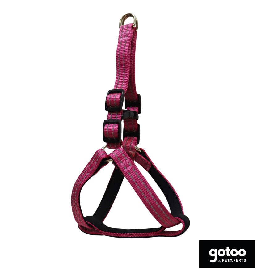 Gotoo Arn&eacute;s reflectante de neopreno rosa para perros
