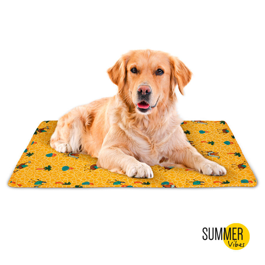Summer Vibes Camel Colch&oacute;n Refrescante para perros, , large Imagen numero 2