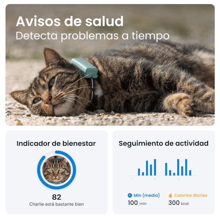 Tractive Cat Mini Localizador GPS Menta para gatos, , large indicador imagen numero 7