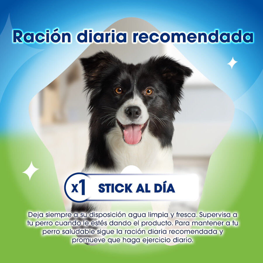 5 barritas Dentalife Snacks Dentales Medium ActivFresh para perros, , large indicador imagen numero 4