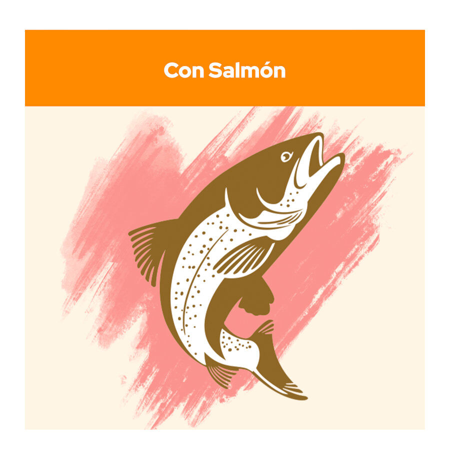 15 kg Cat Chow Adult Salm&oacute;n Pienso para gatos, , large indicador imagen numero 4