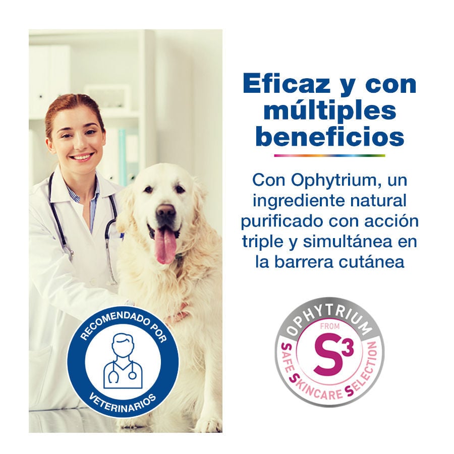 Douxo S3 Calm Champ&uacute; para perros y gatos, , large indicador imagen numero 4