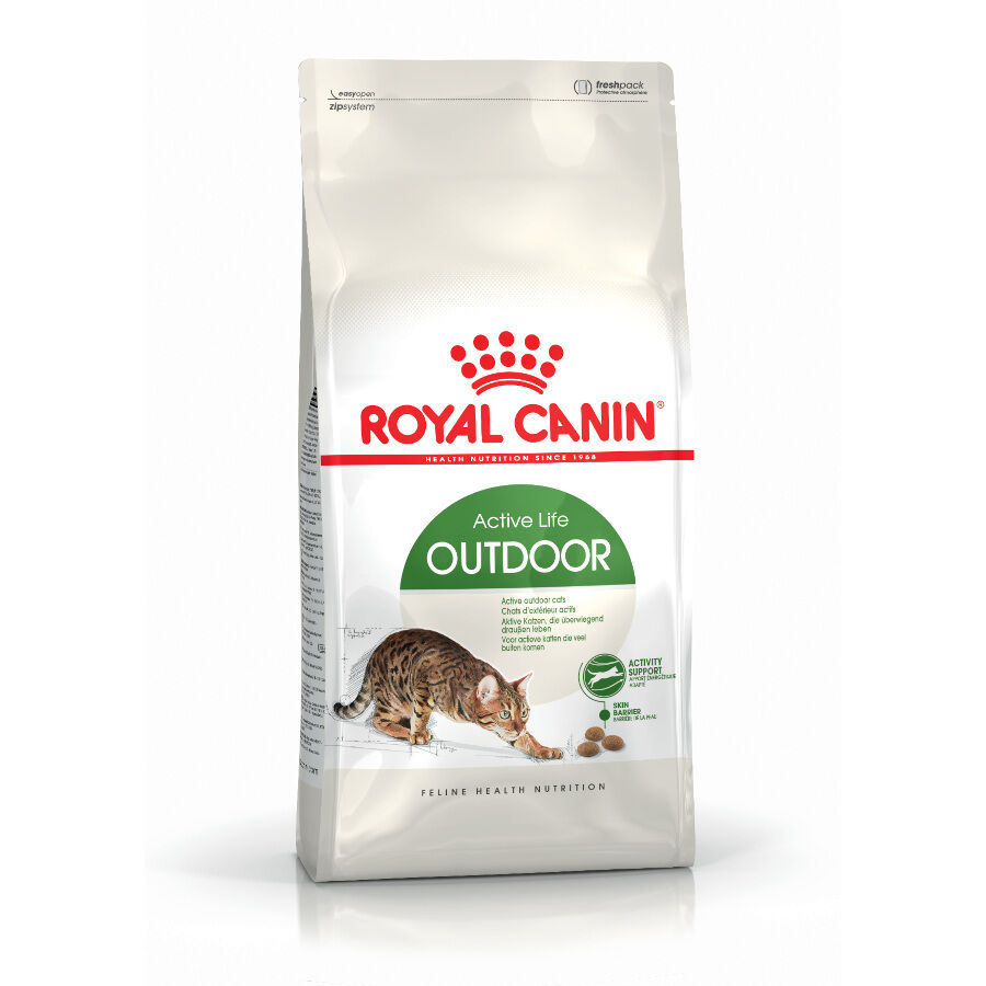 10 kg Royal Canin Active Life Outdoor pienso para gatos, , large Imagen numero 1