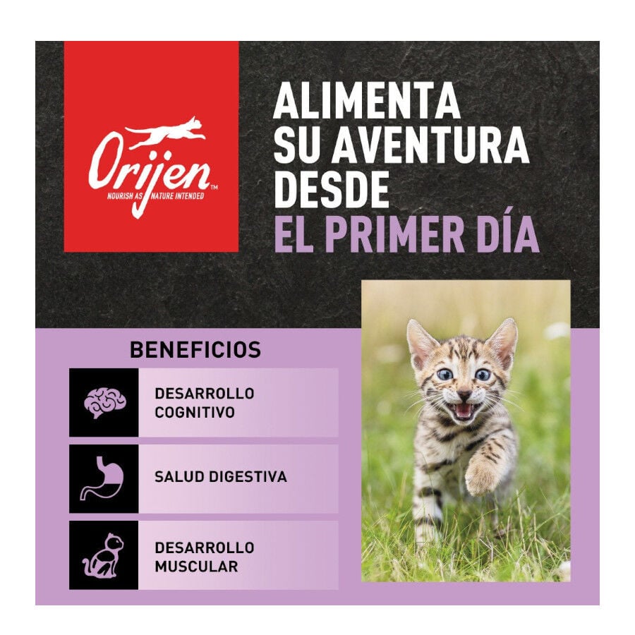 1.8 kg Orijen Kitten Pollo con Pavo y Salm&oacute;n pienso para gatos&nbsp;, , large indicador imagen numero 2
