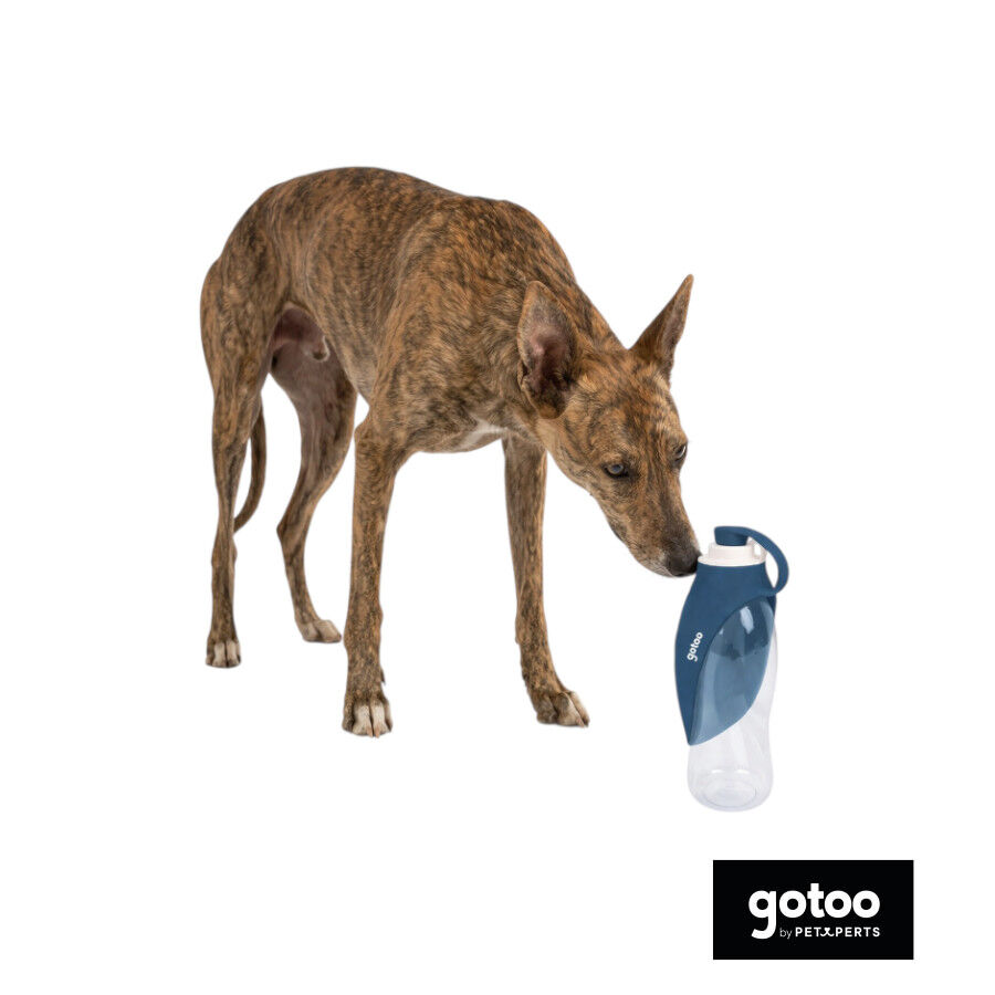 Gotoo Botella Bebedero Port&aacute;til de Silicona Azul para perros y gatos, , large indicador imagen numero 7