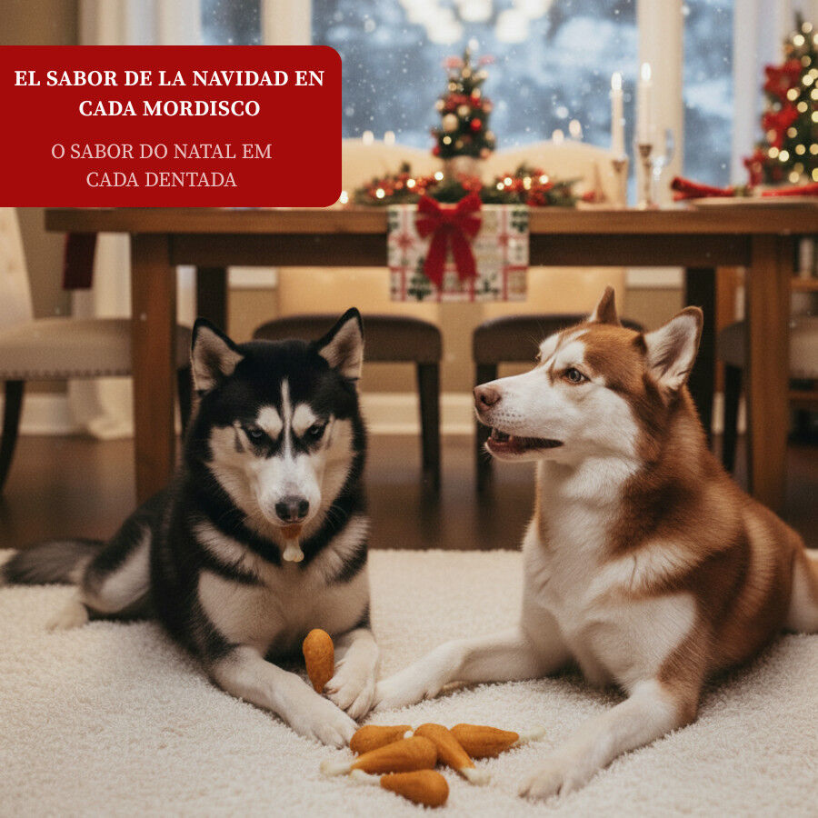 6 snacks Wonder Christmas Alitas de Pavo Navide&ntilde;as para perros, , large Imagen numero 4