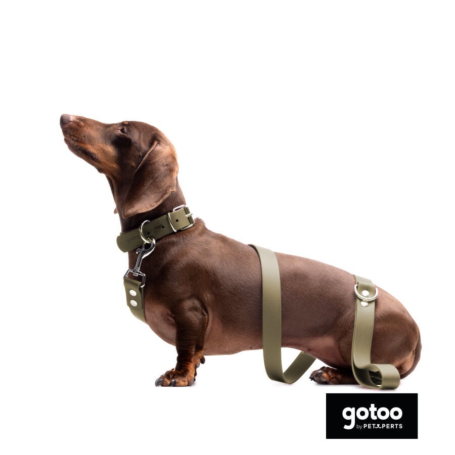 Gotoo Collar Biothane verde oliva para perros, , large indicador imagen numero 7