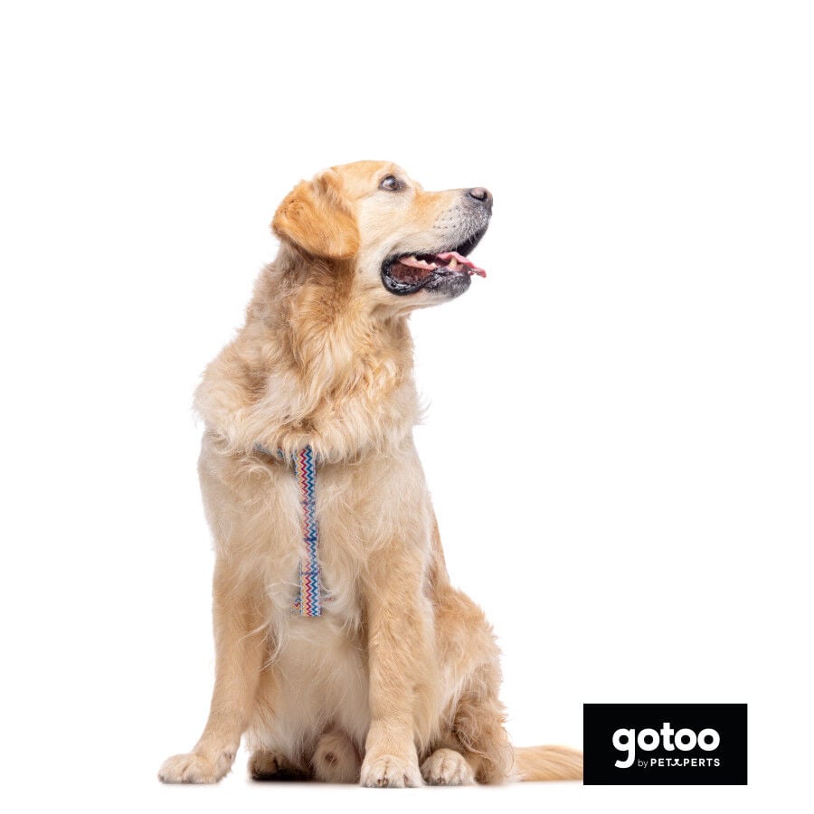 Gotoo Arn&eacute;s rayas zig- zag para perros