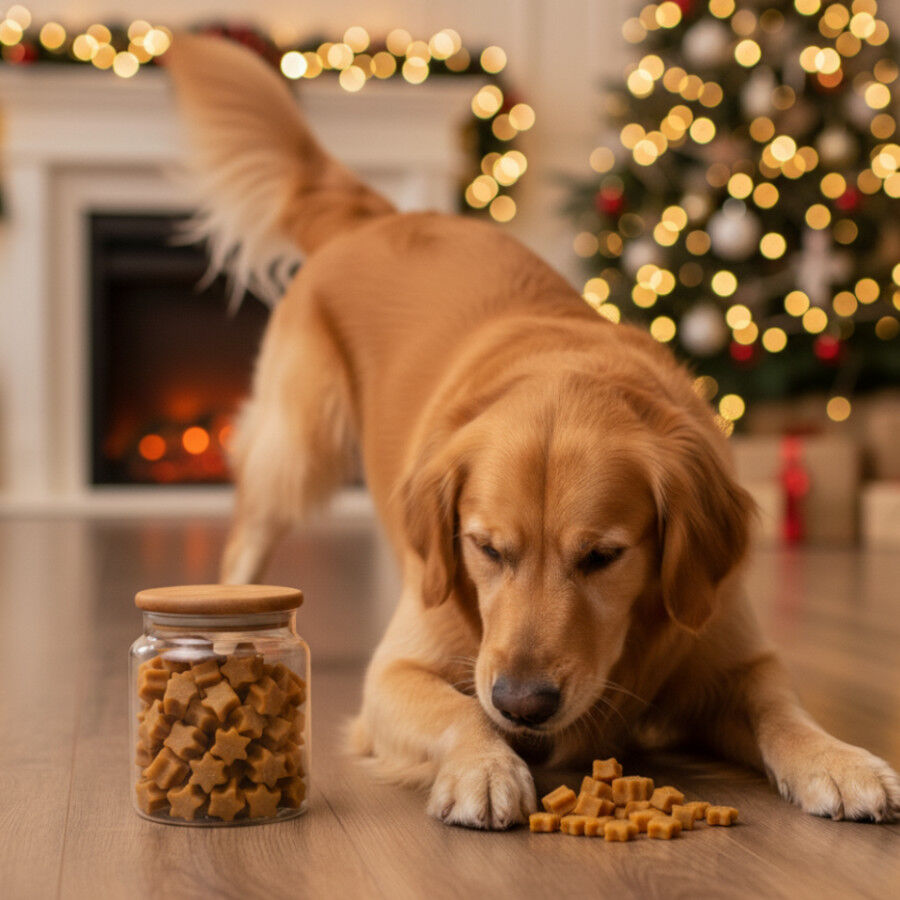 70 g Wonder Christmas Galletitas Navide&ntilde;as para perros, , large indicador imagen numero 2