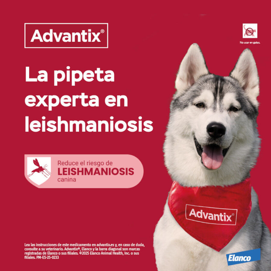 0-4 kg (4 uds.)Advantix Pipetas Antiparasitarias para perros, , large indicador imagen numero 4