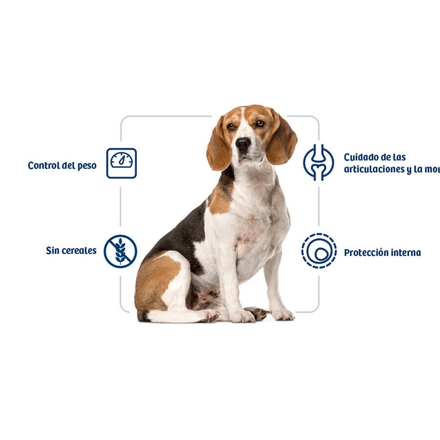 12 kg Nath Adult Medium Maxi Weight Control Pienso para Perros, , large indicador imagen numero 2