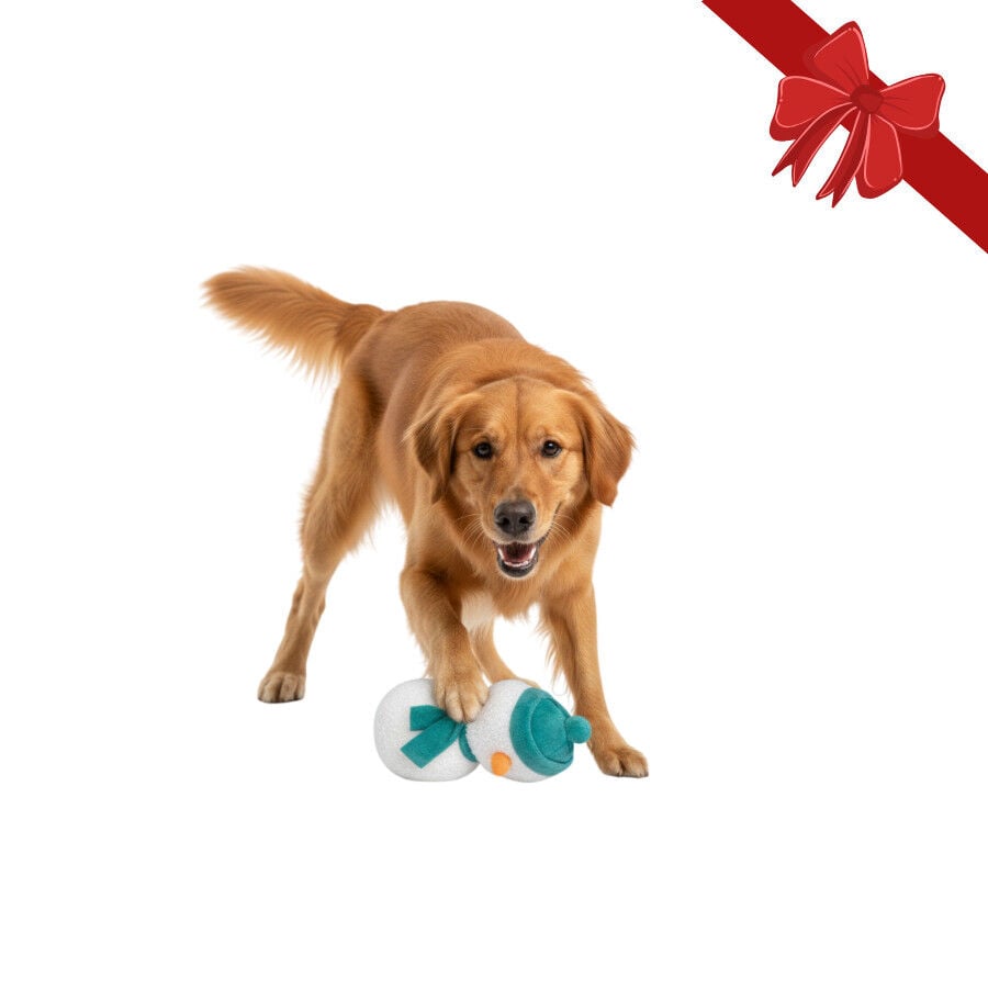 Wonder Christmas Peluche Mu&ntilde;eco de Nieve Navide&ntilde;o para perros, , large Imagen numero 1