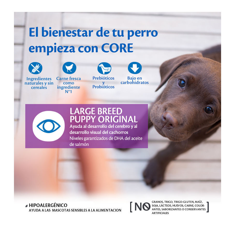 2.5 kg Wellness Core Puppy Large Original Pollo pienso para perros, , large indicador imagen numero 2