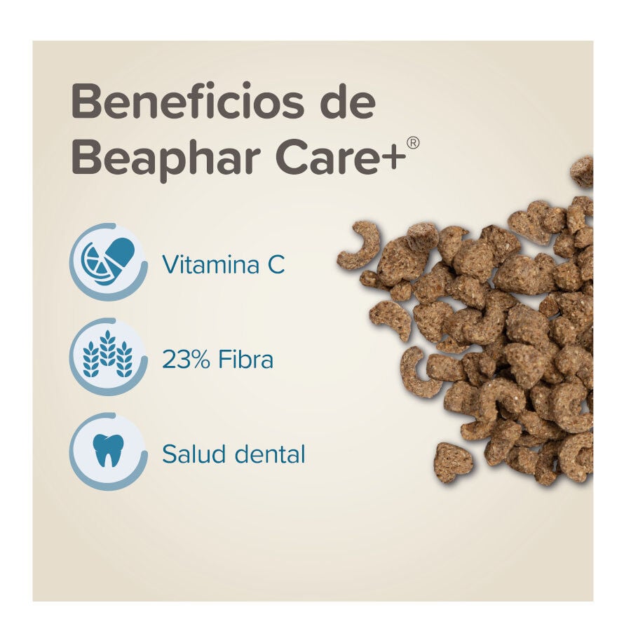 Beaphar Care + Pienso para cobayas, , large indicador imagen numero 3