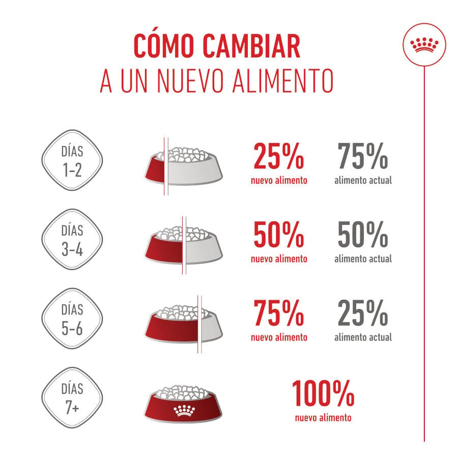 3 kg Royal Canin X-Small Puppy pienso para perros, , large Imagen numero 10