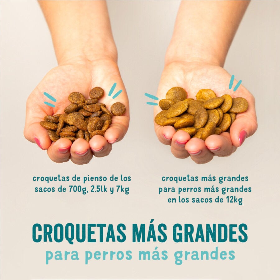 7 kg Edgard & Cooper Zanahoria y Calabac&iacute;n pienso para perros, , large indicador imagen numero 5