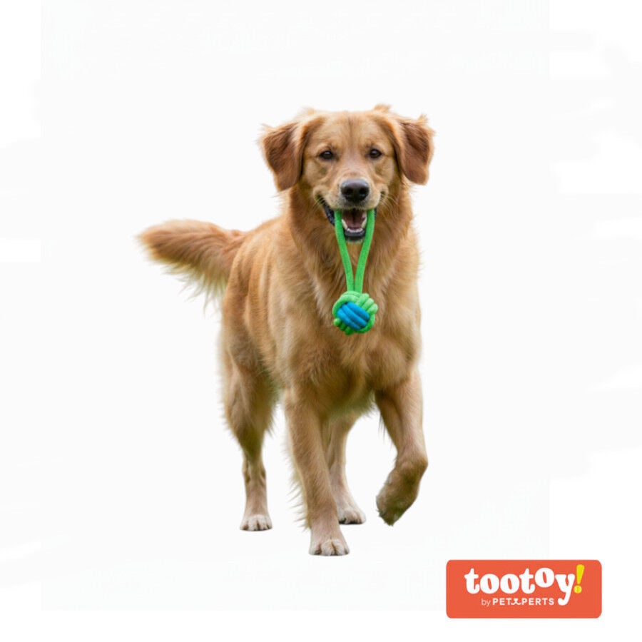 Tootoy! Mordedor de Cuerda con Pelota Verde para perros, , large indicador imagen numero 8