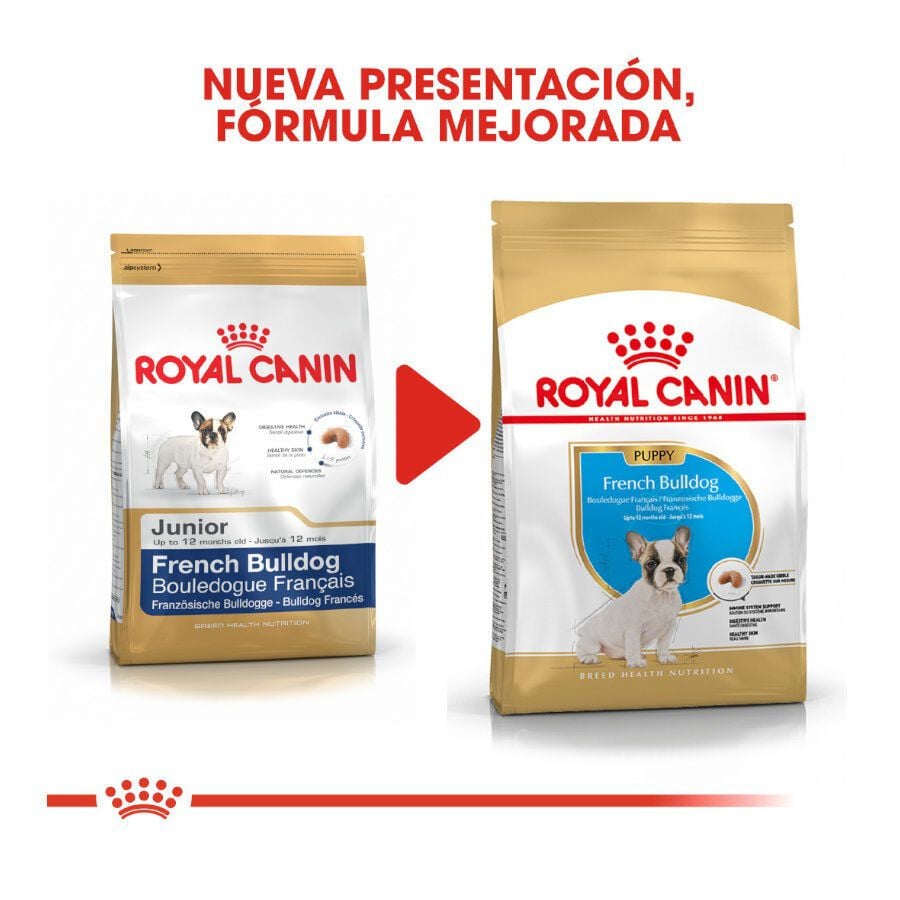 10 kg Royal Canin Puppy French Bulldog pienso para perros, , large indicador imagen numero 3