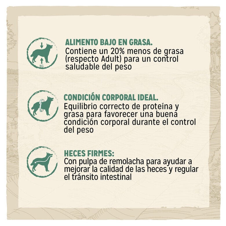 Dog Chow Light Pavo pienso para perros2 indicador imagen numero 2