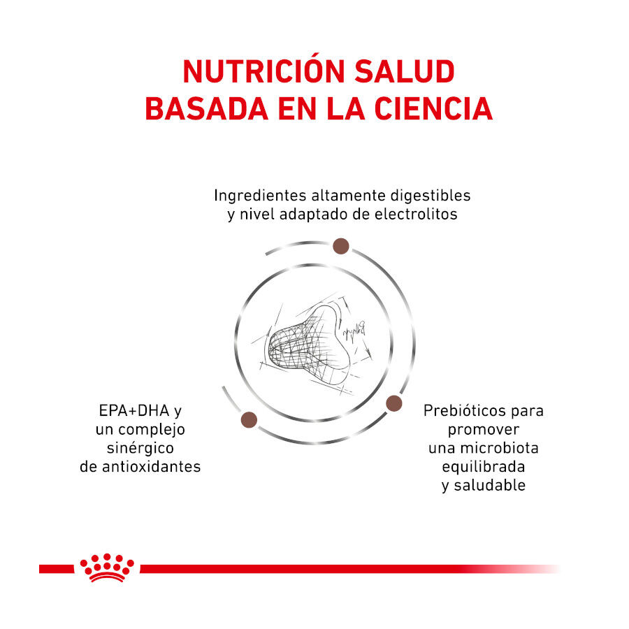 4 kg Royal Canin Veterinary Gastrointestinal Fibre Response pienso para gatos, , large Imagen numero 4