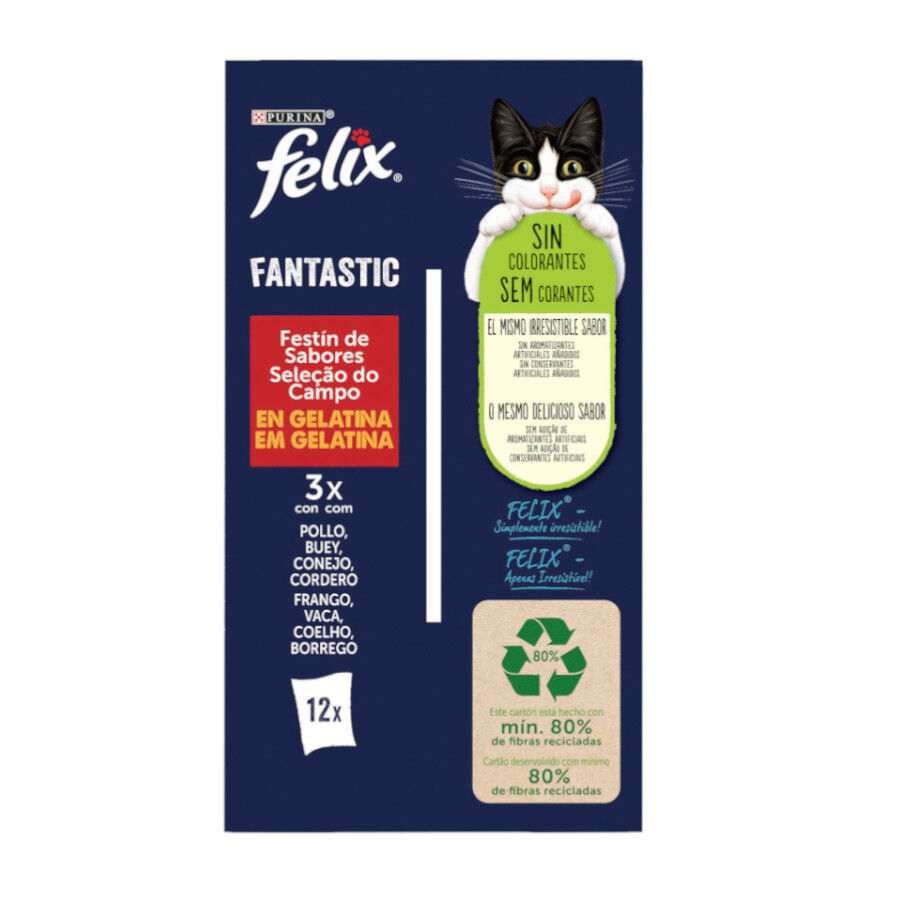 24 sobres x 85 g Felix Fantastic Carne en Gelatina sobre para gatos, , large Imagen numero 7