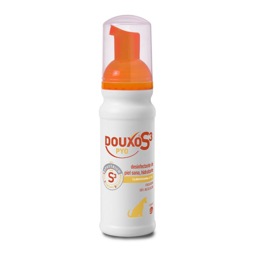 Douxo S3 Pyo Mousse espuma desinfectante indicador imagen numero 1