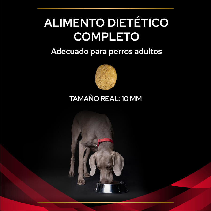 12 kg Pro Plan Veterinary Diets DM Diabetes Pienso para perros, , large Imagen numero 3