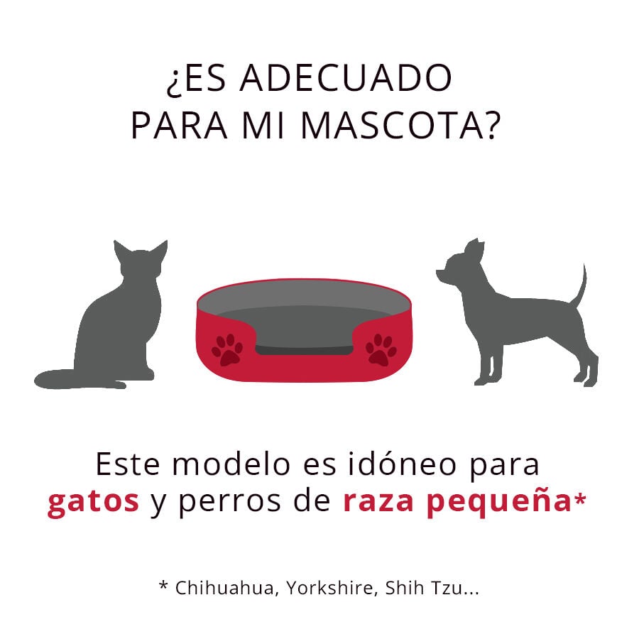 Dogzzz Basic Snap Natura Cama Azul, , large indicador imagen numero 2