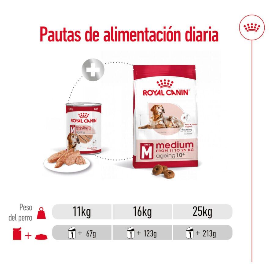 410 g Royal Canin Medium 7+ Ageing lata para perros&nbsp;senior, , large Imagen numero 4