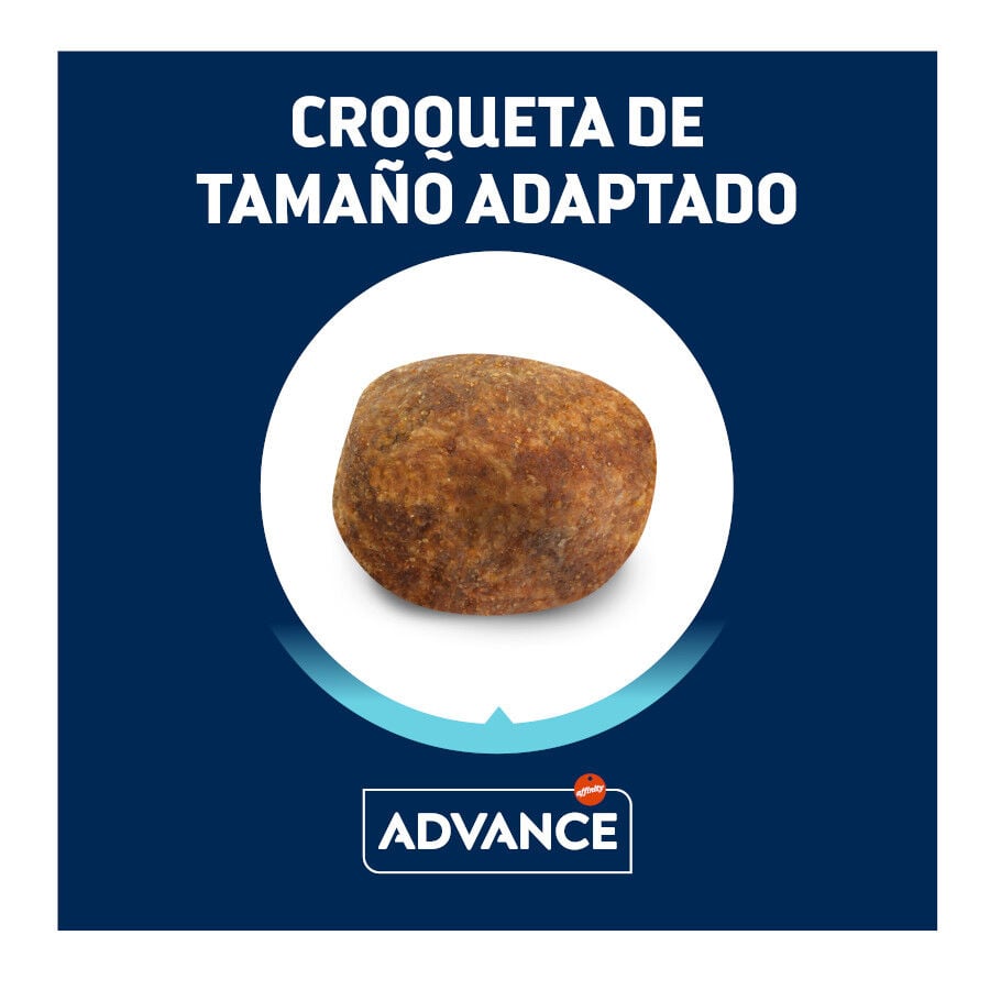 11.5 kg Advance Active Defense Adult Labrador & Golden Retriever Pollo y Arroz pienso para perros, , large Imagen numero 2