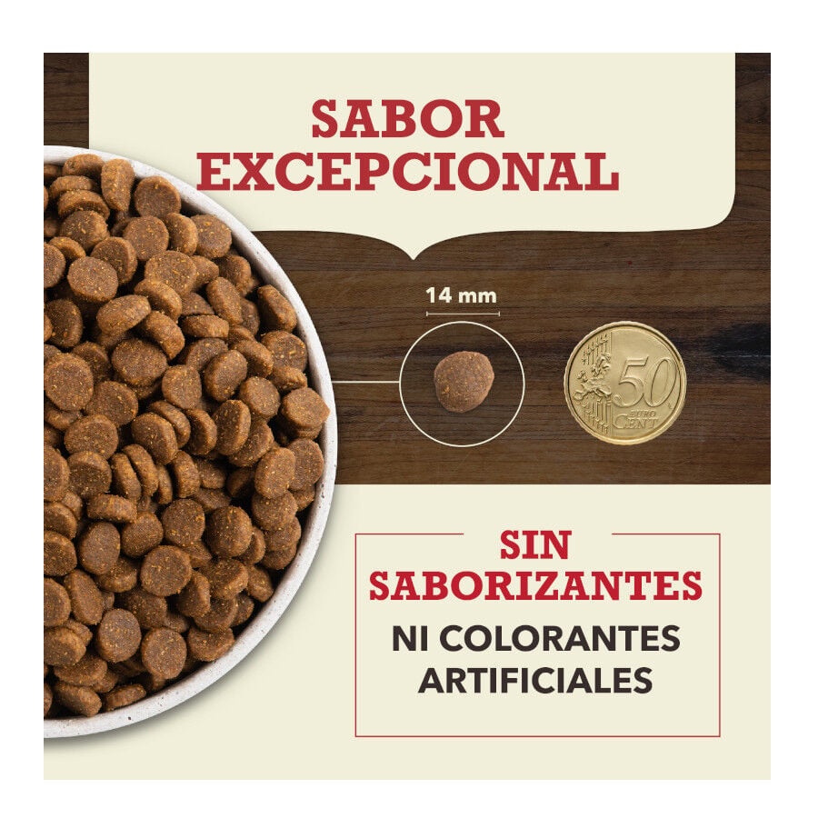 11.4 kg Acana Red Meat pienso para perros, , large Imagen numero 5