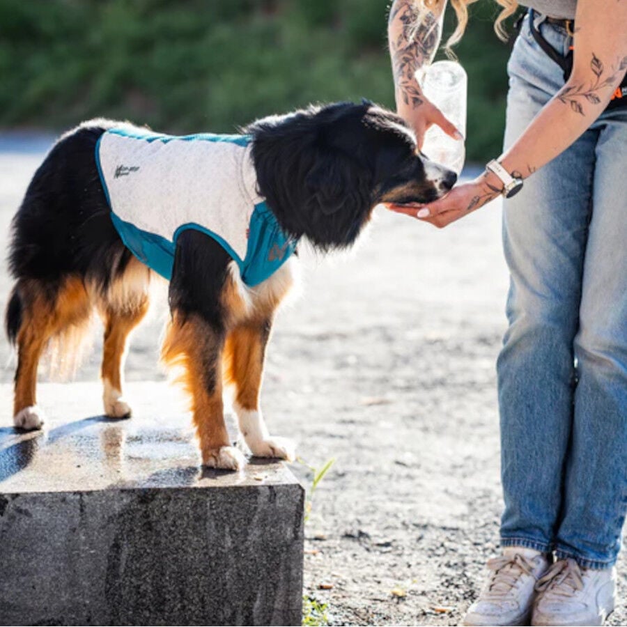Non-stop Dogwear Chaleco Refrescante Pull-On Gris para perros, , large indicador imagen numero 4
