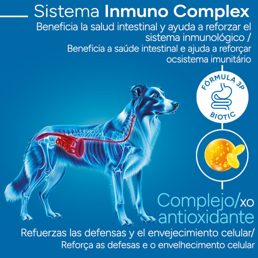 12 kg Criadores Cient&iacute;fico Senior Sensitive Medium-Maxi Pienso Salm&oacute;n para perros, , large indicador imagen numero 3