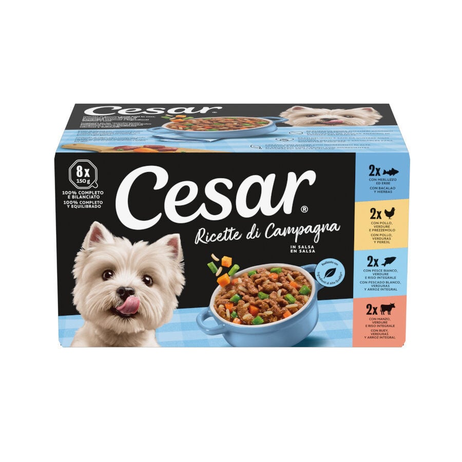 Cesar Recetas Campesinas en salsa tarrina para perros