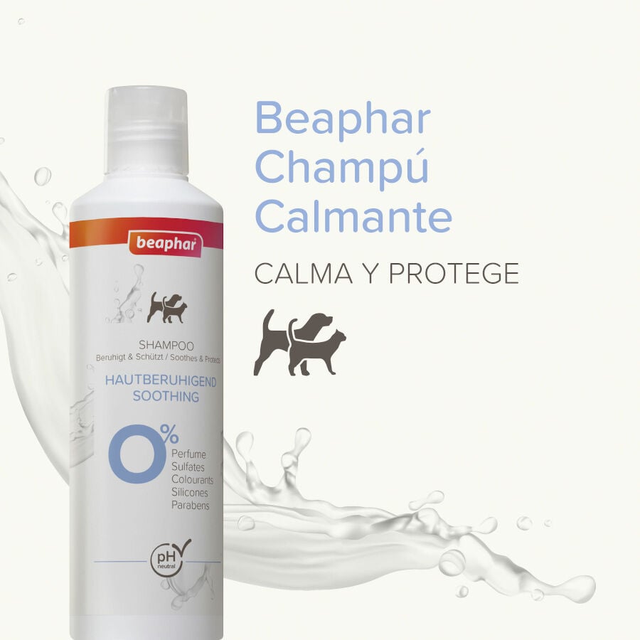 Beaphar Champ&uacute; Calmante para perros y gatos, , large Imagen numero 2