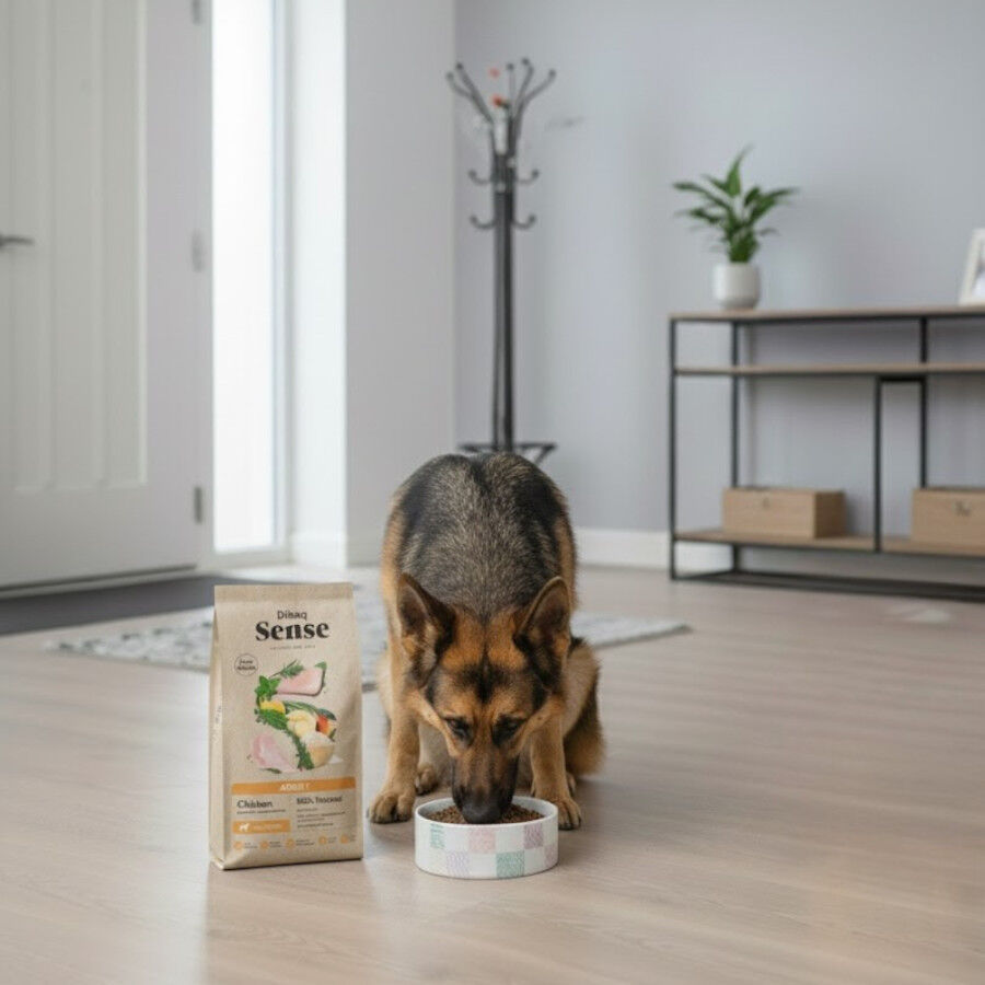 12 kg Dibaq Sense Low Grain Adult Pollo Pienso para perros, , large indicador imagen numero 5