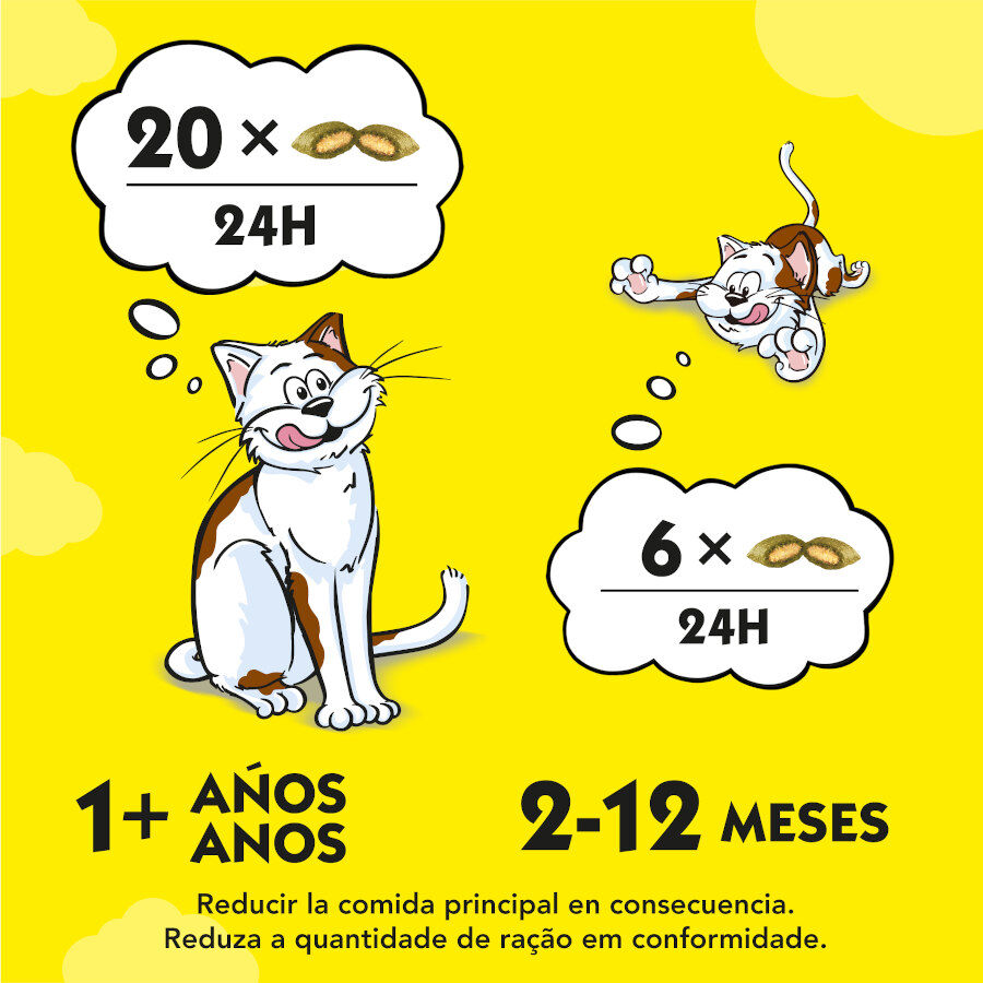 60 g Catisfactions Bocaditos de Hierba Gatera para gatos, , large indicador imagen numero 3